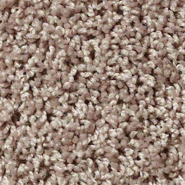 Shaw Floors XV442 Ancient Stone SHAW