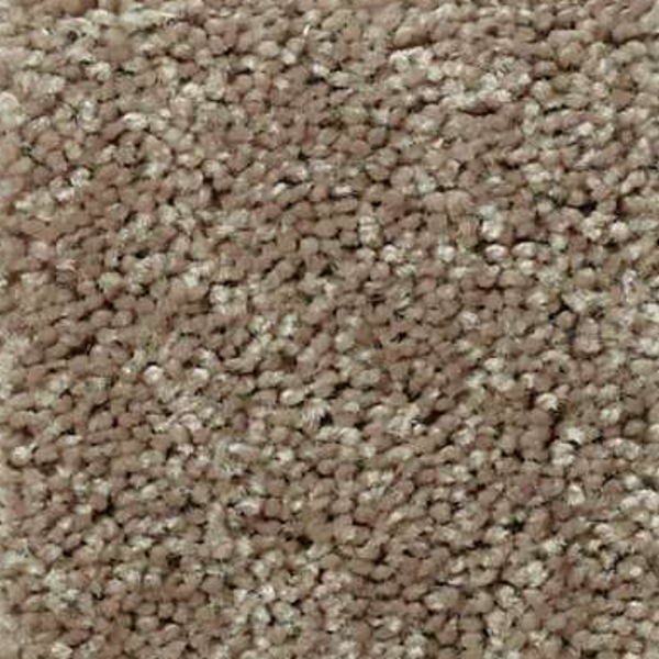 Shaw Floors All Star Weekend III 12' Hearth Stone SHAW