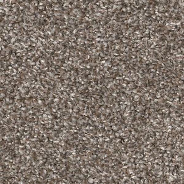 Shaw Floors Soft Effervescence Nature Trail SHAW