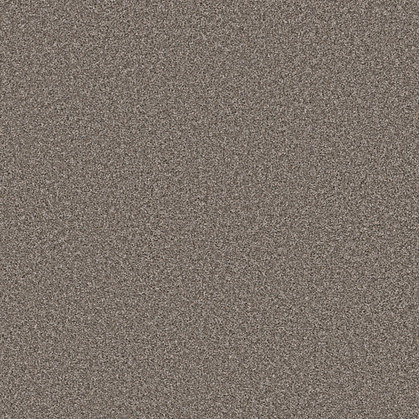 Shaw Floors Soft Radiance Nature Trail SHAW