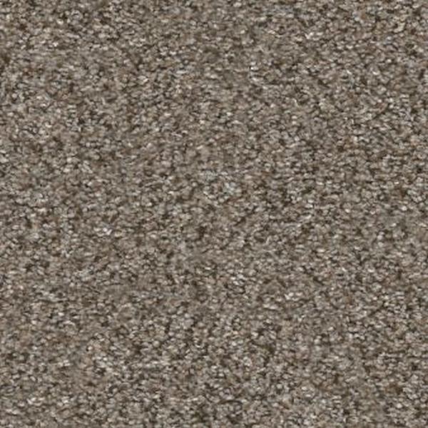 Shaw Floors Without Limits I Saddle Tan SHAW