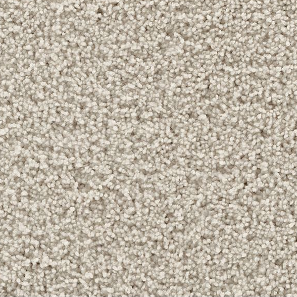 Mohawk Carpet Gentle Path Stardust Mohawk