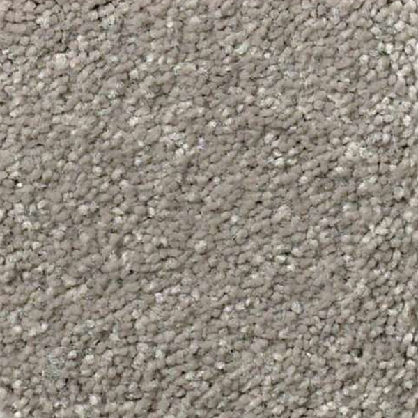 Shaw Floors Solidify III 15 Tree Bark SHAW