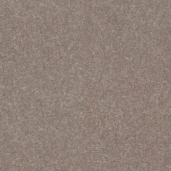 Shaw Floors Easy Spirit I 12 Treebark SHAW