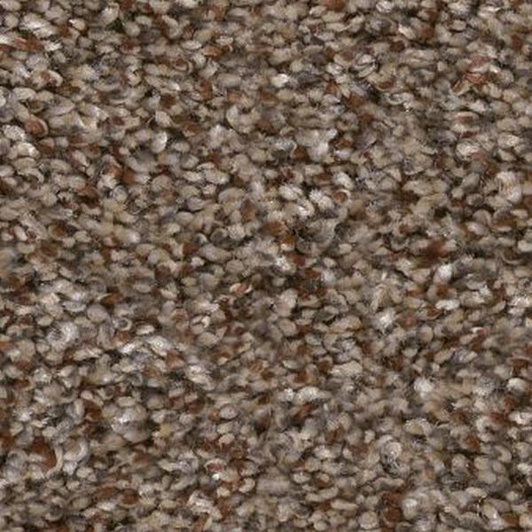 Shaw Floors Yes You Can I 12' Worn Path SHAW