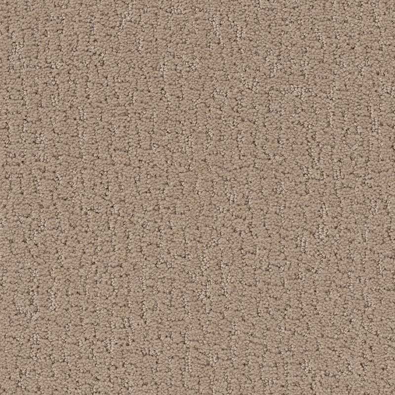 Shaw Floors Studio Set Worn Path SHAW