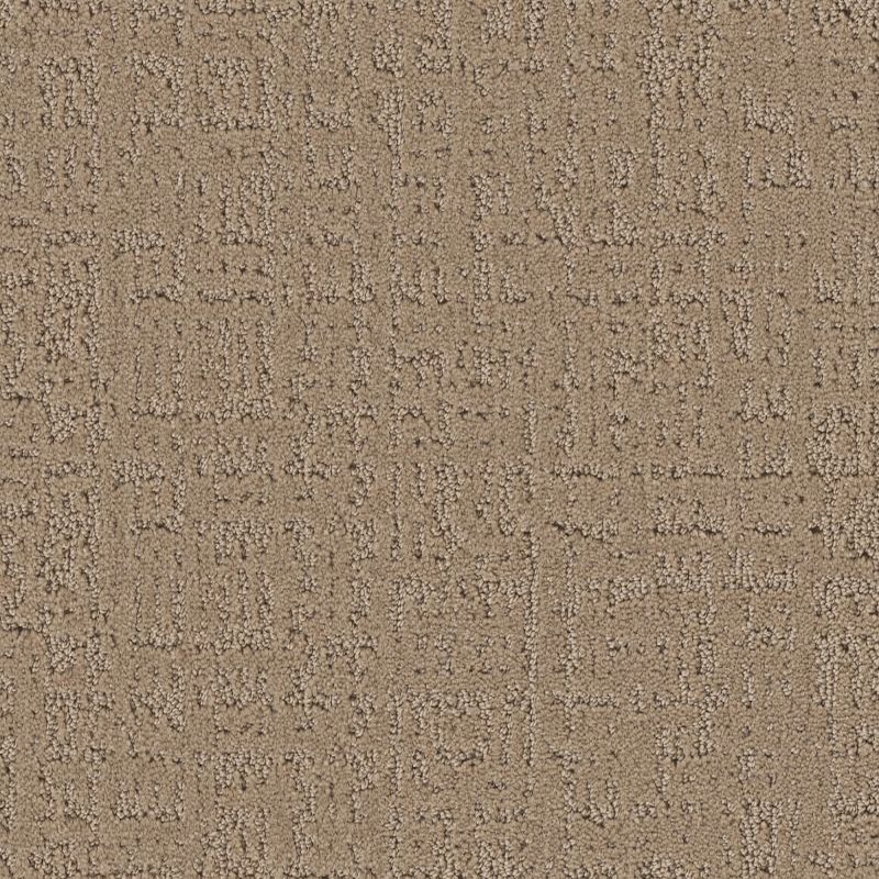 Shaw Floors Studio Plaza Worn Path SHAW