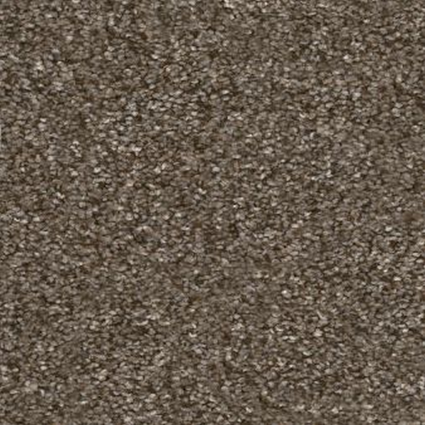 Shaw Floors Without Limits III Bountiful SHAW