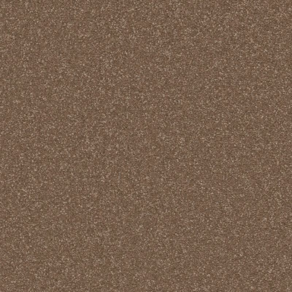 Shaw Floors Awaken Spirit II 15' Copperglaze SHAW