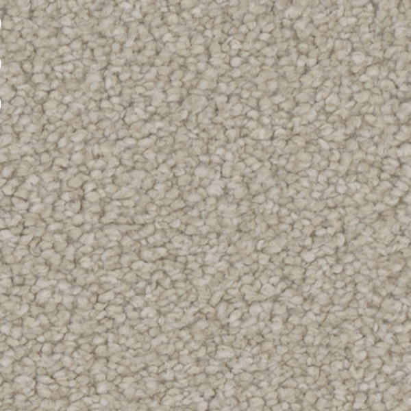 Tarkett Home Carpets Allure Dazzle LEXMARK