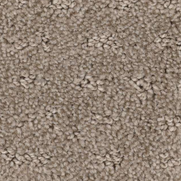 Shaw Floors Chic Nuance Desert View SHAW