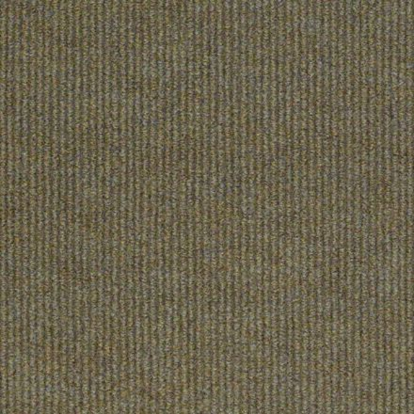 Philadelphia Commercial Summer Stock Dragonfly Shaw