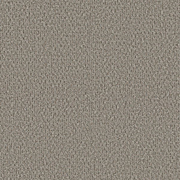 Shaw Floors StoneBrook Fieldstone SHAW