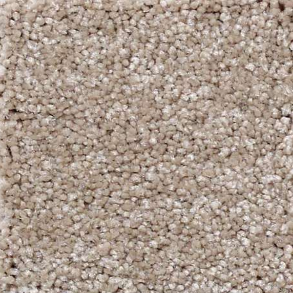 Shaw Floors That's Right Havana SHAW