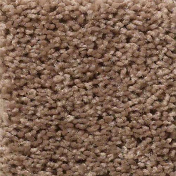 Shaw Floors XV442 Meadowlark SHAW