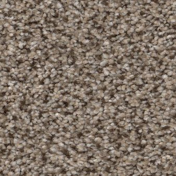 Shaw Floors Truspirit II Truffle SHAW