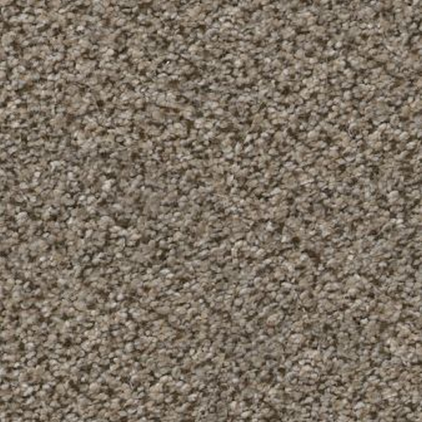 Shaw Floors Trusplendor Truffle SHAW