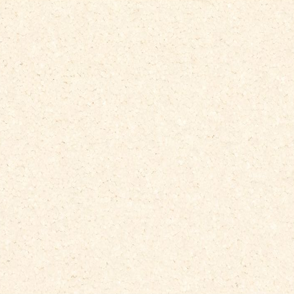 Horizon Carpet Quality Life White Linen Mohawk