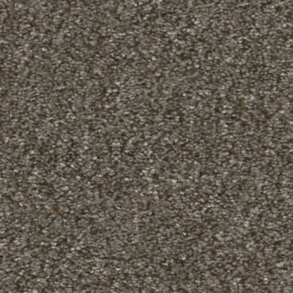 Shaw Floors Without Limits III Boardwalk SHAW