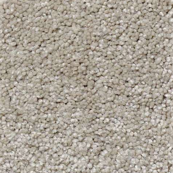 Shaw Floors What's Up Coastal Fog SHAW