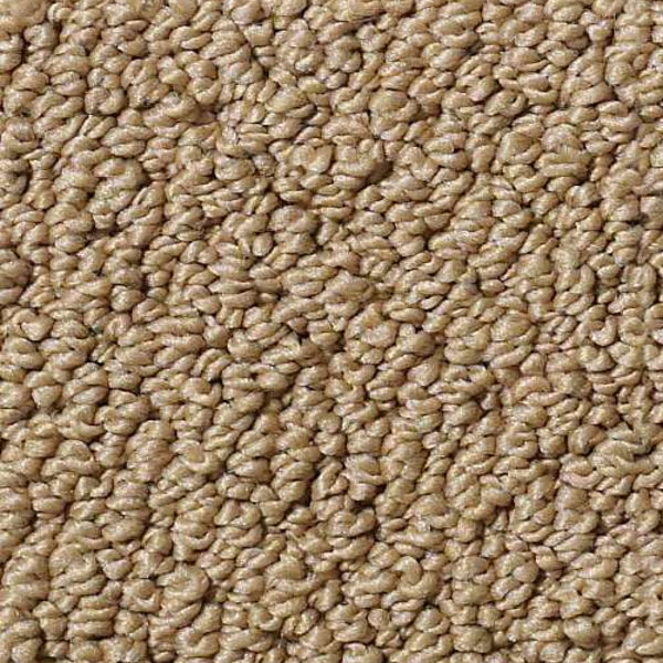 Shaw Floors Traditional Elegance Granola SHAW