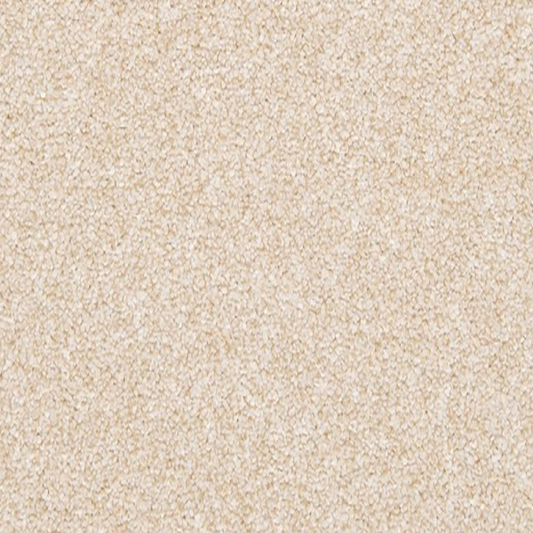 Mohawk Carpet Dynamic Quality II Sheepskin Mohawk