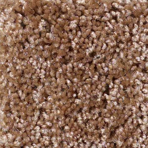 Shaw Floors One Over All Sierra Hills SHAW