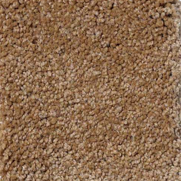 Shaw Floors Magic At Last III 15' Toast SHAW