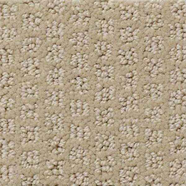 Shaw Floors Pacific Trails Mushroom SHAW