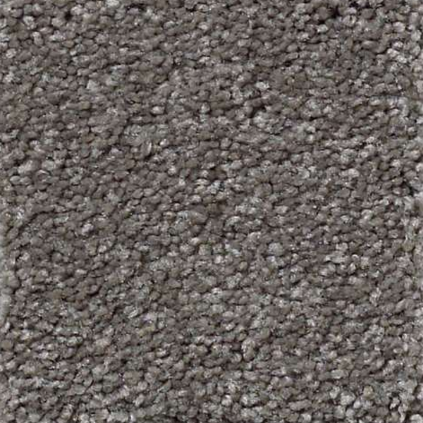 Shaw Floors What's Up Stone Hearth SHAW