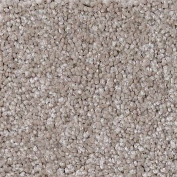 Shaw Floors That's Right Ashen SHAW