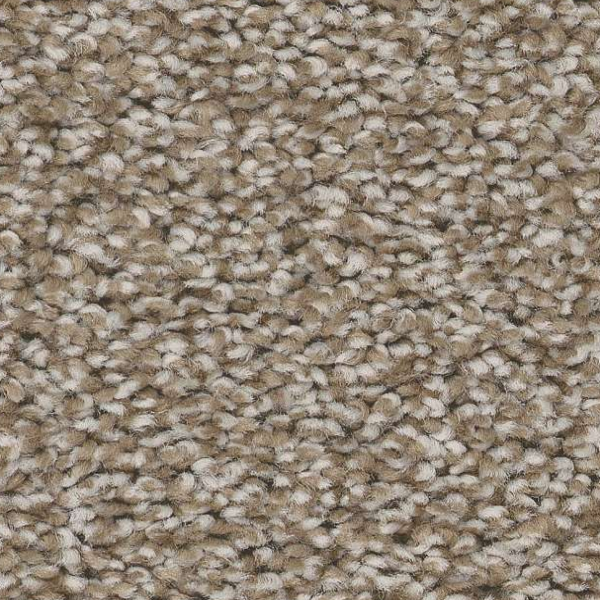 Shaw Floors Trusolutions III Beach Cabana SHAW