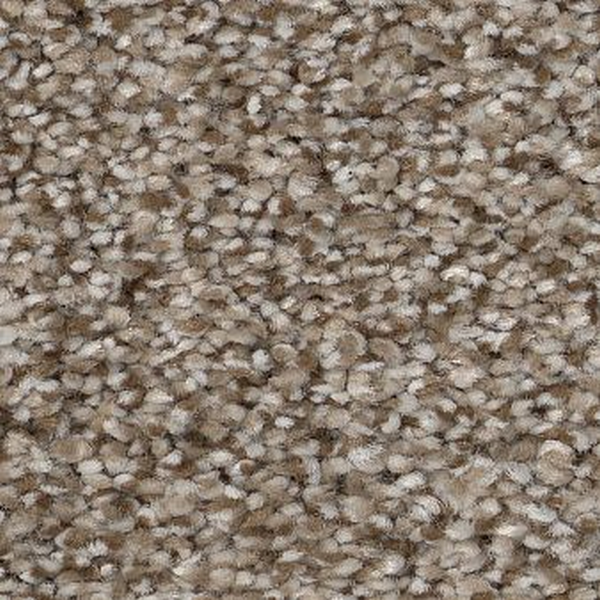 Shaw Floors Truspirit I Timeless Tan SHAW