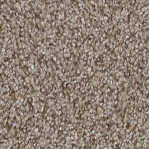 Shaw Floors Trusplendor Timeless Tan SHAW