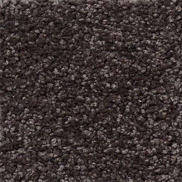 Shaw Floors That's Right Cabot Trail SHAW