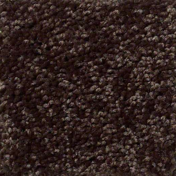 Shaw Floors Full Court 12 Coffee Bean SHAW