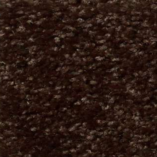 Shaw Floors All Star Weekend I 12' Coffee Bean SHAW