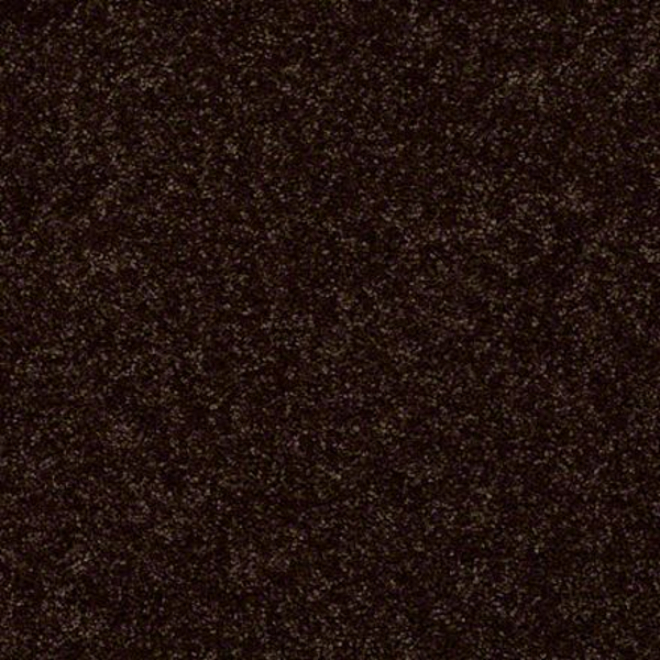 Shaw Floors All Star Weekend II 12' Coffee Bean SHAW