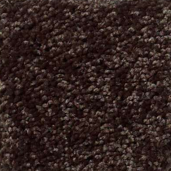 Shaw Floors All Star Weekend III 12' Coffee Bean SHAW