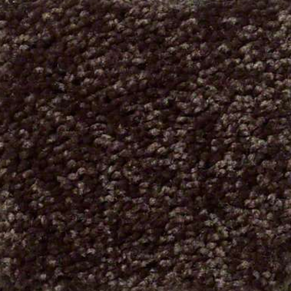 Shaw Floors Full Court 15 Coffee Bean SHAW