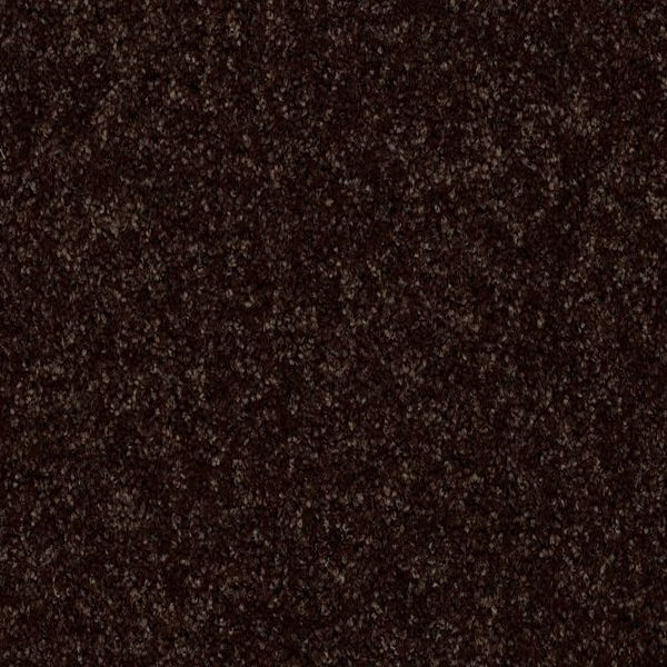 Shaw Floors Break Away (S) Coffee Bean SHAW