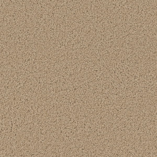 Dreamweaver Carpet Broadcast Plus Cookie Dough DREAMWEAVER