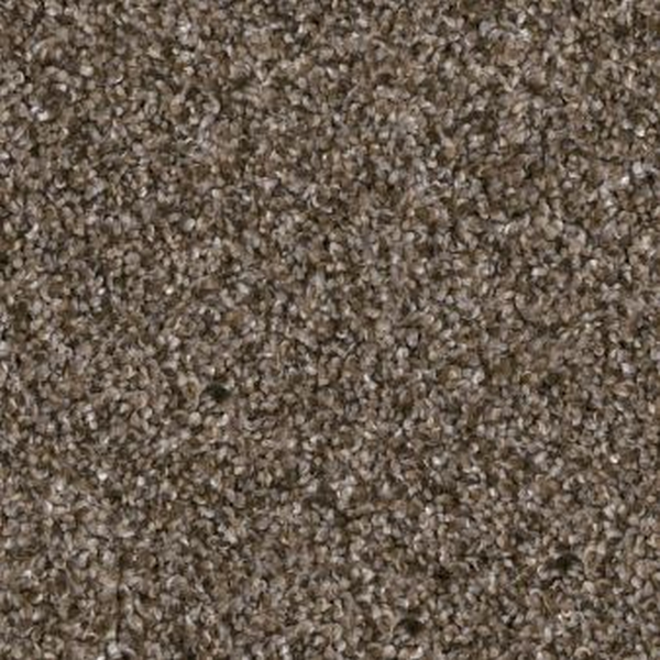 Shaw Floors Yes You Can I 12' Mission Ridge SHAW