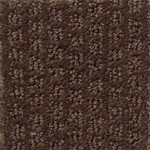 Shaw Floors Pacific Trails Mocha Chip SHAW