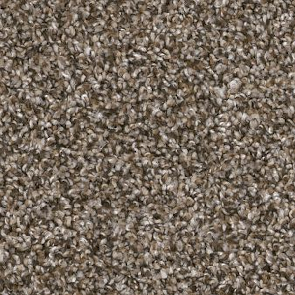 Shaw Floors Soft Effervescence Mocha Latte SHAW