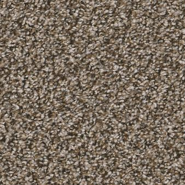 Shaw Floors Soft Radiance Mocha Latte SHAW