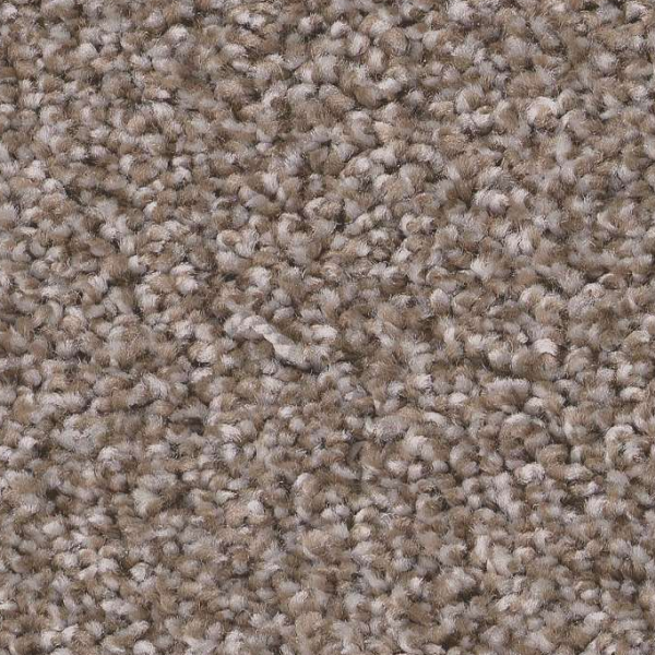 Shaw Floors Trusolutions II Taupe Dream SHAW