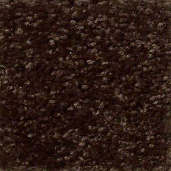 Shaw Floors Fielders Choice 15 Walnut SHAW