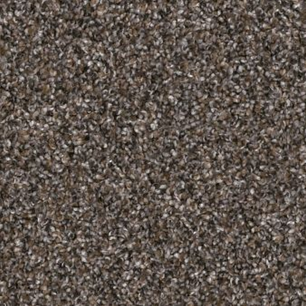 Shaw Floors Yes You Can I 12' Cafe Noir SHAW