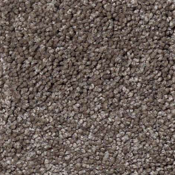 Shaw Floors What's Up Rustic Taupe SHAW